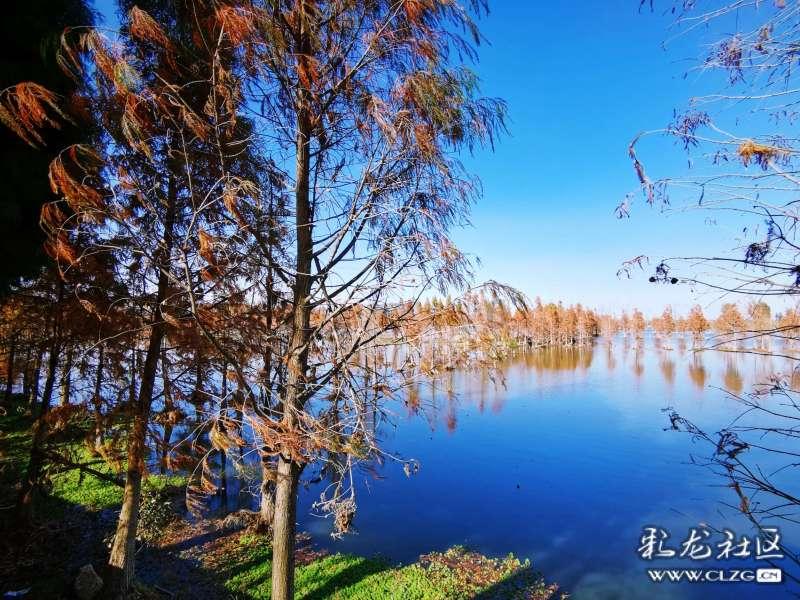 2024年菏泽市“世界湿地日”主题宣传活动启动