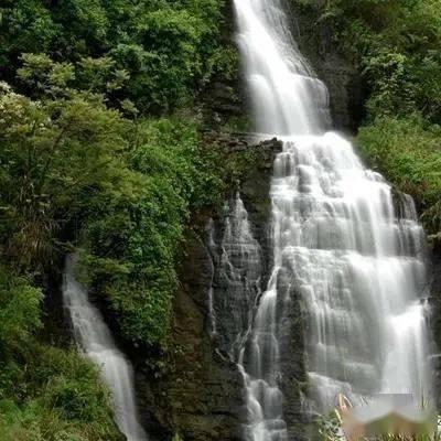 泡泡趴