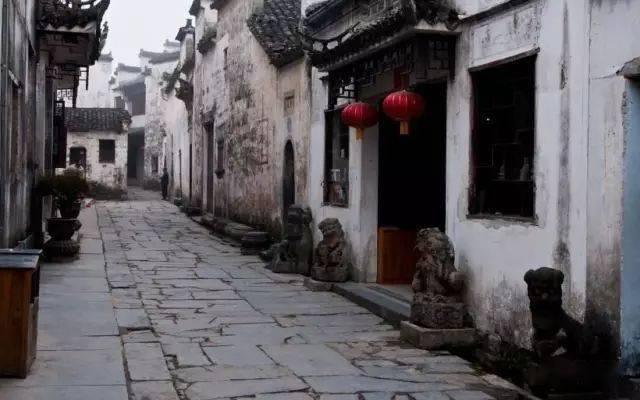 当雄县人工草地牧草产量刷新纪录